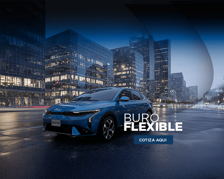 Buro Flexible